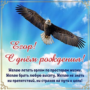 Желаю летать орлом по просторам жизни и брать высоту