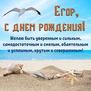 Изысканная картинка с ракушками и птицей над морем Егору
