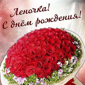 Огромный букет красных роз Леночке на день рождения