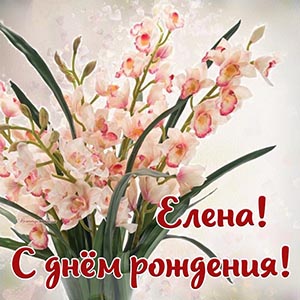 Стильная открытка Елене на день рождения с цветочками