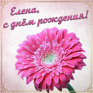 Очаровательный цветок и текст - Елена, с днём рождения