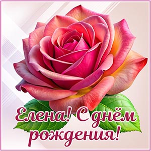 Шикарная розочка и надпись - Елена, с днём рождения