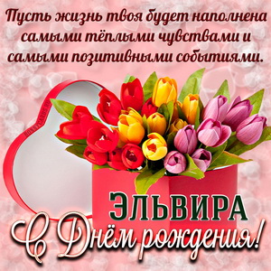 Картинка на День рождения Эльвире с коробкой тюльпанов