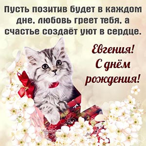 Чудесная картинка Евгении с котом в коробке и цветочками