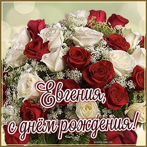 Картинка с великолепными розами на день рождения Евгении