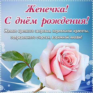 Нежная розочка и поздравление на синем фоне Женечке