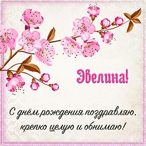 Эвелина, с днём рождения поздравляю, целую и обнимаю