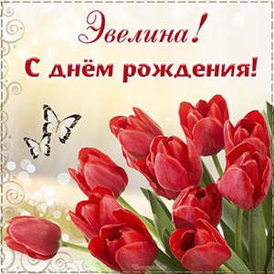 Яркие тюльпаны и поздравление с днём рождения Эвелине