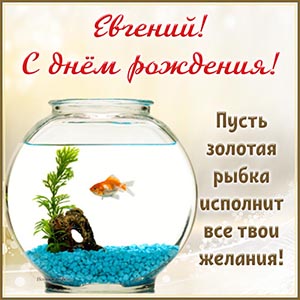 Евгений, пусть золотая рыбка исполнит все твои желания