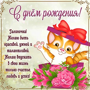 Душевное поздравление, цветы и забавный кот Галиночке