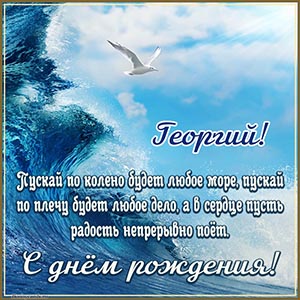 Птица в небе, волна и оригинальное пожелание Георгию