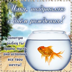 Золотую рыбку ты прими, пусть исполнит все твои мечты