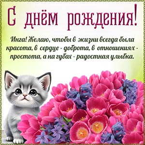Котик, цветы и доброе поздравление Инге с днём рождения