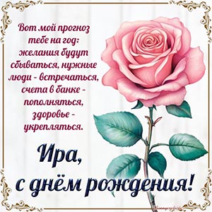 Роскошная роза и прогноз на год Ире на день рождения
