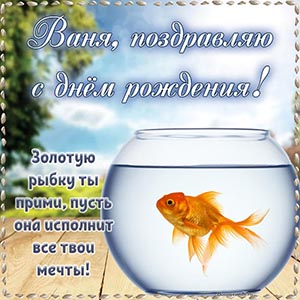 Ваня, золотую рыбку ты прими, пусть исполнит все мечты