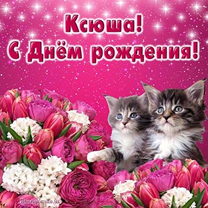 Картинка с котами и тюльпанами Ксюше на День рождения