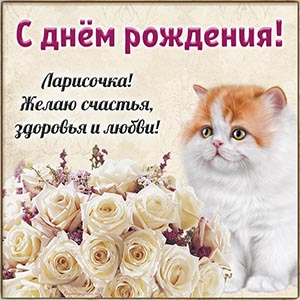 Кот на светлом фоне и душевное поздравление Ларисочке