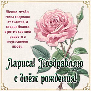 Цветок и текст - Лариса, поздравляю с днём рождения