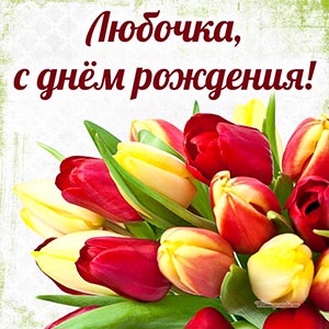 Красивые тюльпаны и надпись - Любочка, с днём рождения