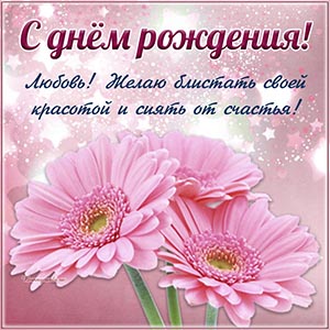 Розовые герберы и душевное поздравление для Любови