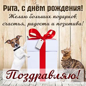 Забавная открытка Рите с котом, собакой и подарком