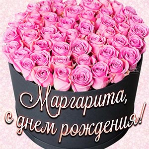 Картинка с шикарными розами Маргарите на день рождения