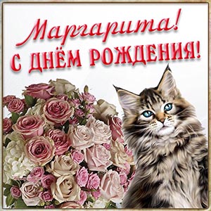 Изысканная открытка с кошкой Маргарите на день рождения