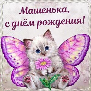 Прикольная открытка Машеньке с забавным котом и цветком