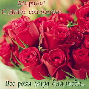 Все розы мира на День рождения Марине