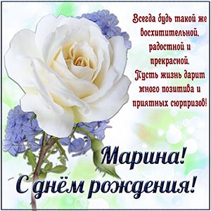 Пусть жизнь дарит много позитива и приятных сюрпризов