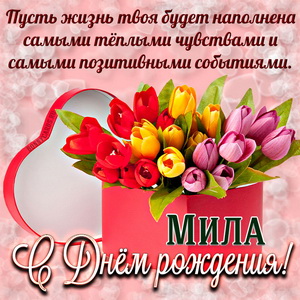 Картинка на День рождения Миле с коробкой тюльпанов