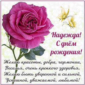 Розочка и пожелание Надежде красоты, добра, гармонии