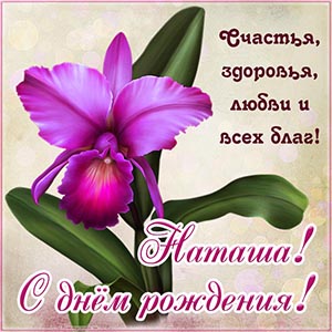 Супер открытка с красивым цветком Наташе на день рождения