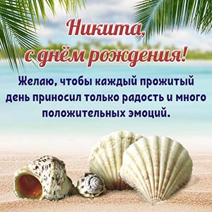 Открытка с ракушками на берегу Никите на день рождения