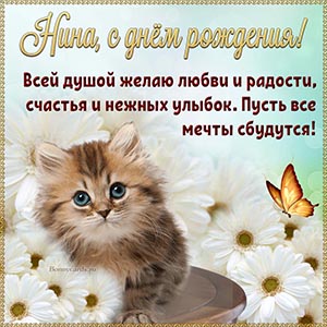 Красивый кот и текст - Нина, пусть все мечты сбудутся