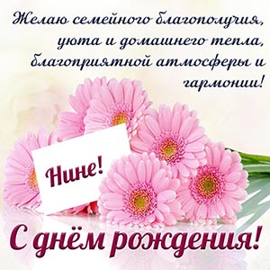 Герберы и душевное пожелание Нине на день рождения