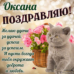Доброе поздравление Оксане с котиком и цветами