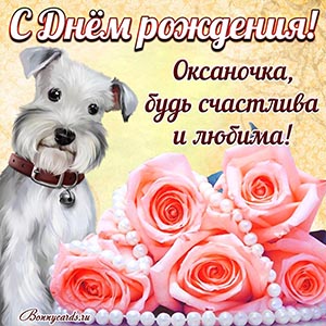 Поздравление Оксаночке на День рождения с собакой