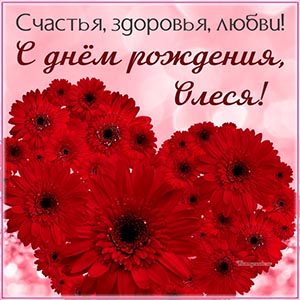 Счастья, здоровья и любви, с днём рождения, Олеся