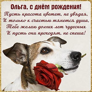 Открытка Ольге на день рождения со стихами и собакой
