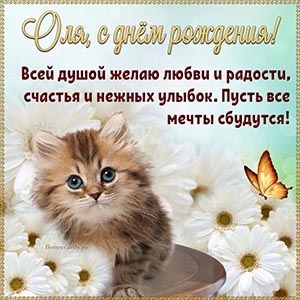 Великолепная картинка с котенком, цветами и бабочкой Оле