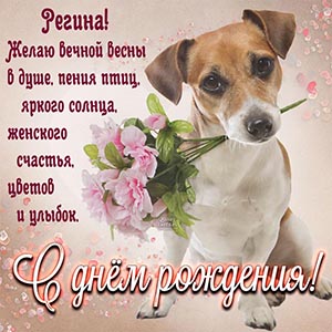 Хорошая открытка с собакой Регине на день рождения