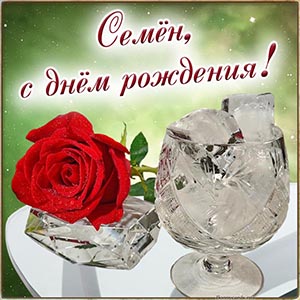 Потрясающая картинка с цветком на день рождения Семёну