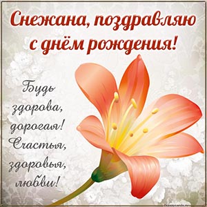 Изумительная картинка с красивым цветком Снежане