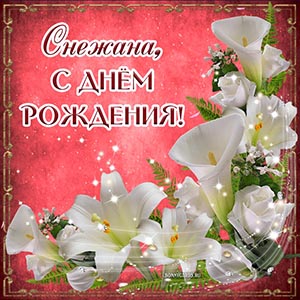 Белые цветы на красном фоне Снежане на день рождения