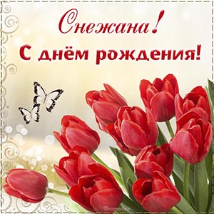 Яркие тюльпаны и поздравление с днём рождения Снежане
