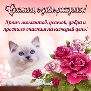 Шикарная картинка с именем Снежана и с котом в цветах