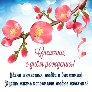 Текст - Снежана, пусть жизнь исполняет любые желания