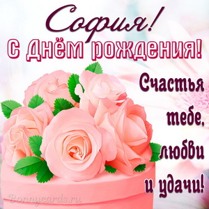 Открытка на День рождения Софии с красивыми нежными розами