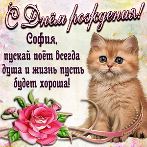 Картинка с милым котёнком и розой Софии на День рождения